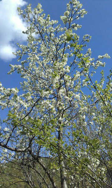 Алёна Субботина | Уфа