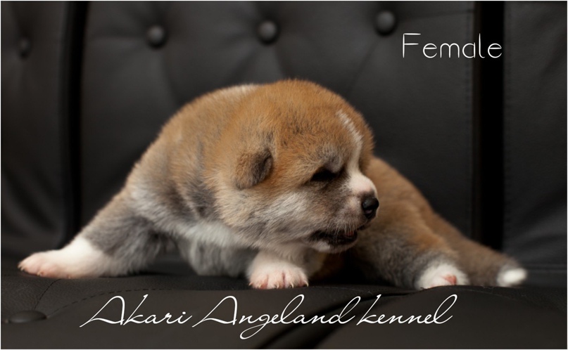 Ирина Суркова | Волгоград