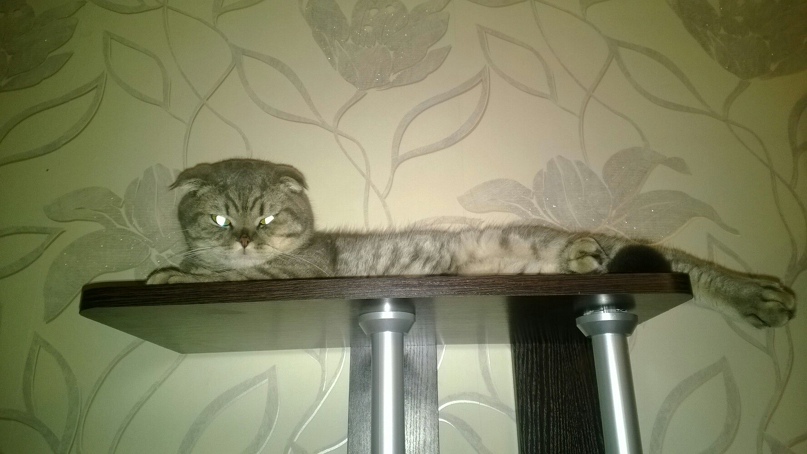 Евгений Баранов | Тверь