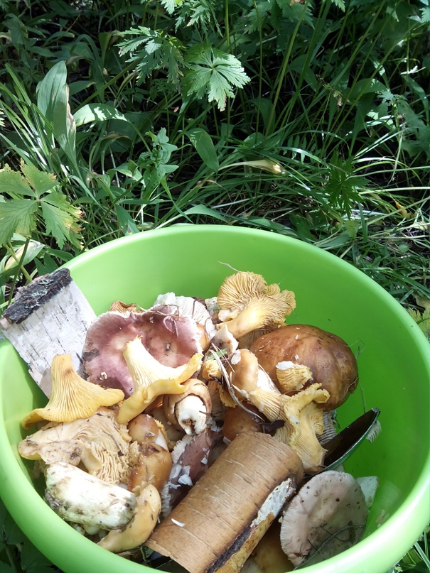 Наталья Печеницына | Севастополь