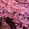 Наталья Моисеева | Санкт-Петербург