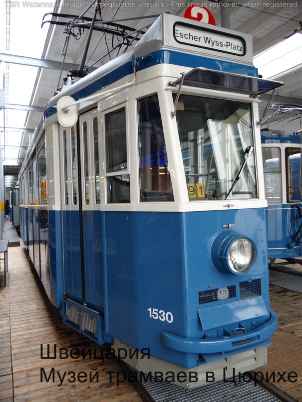 Александр Гржеляк | Санкт-Петербург