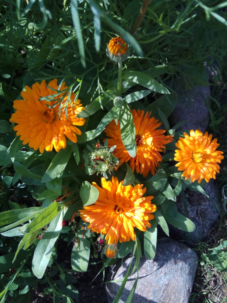 Татьяна Новицкая | Санкт-Петербург