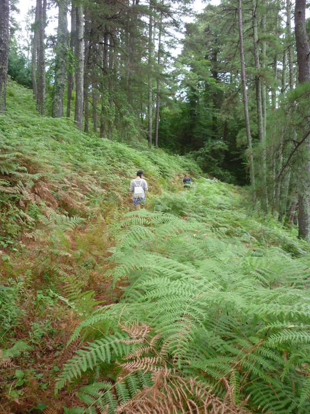 Ирина Каменская | All Saints