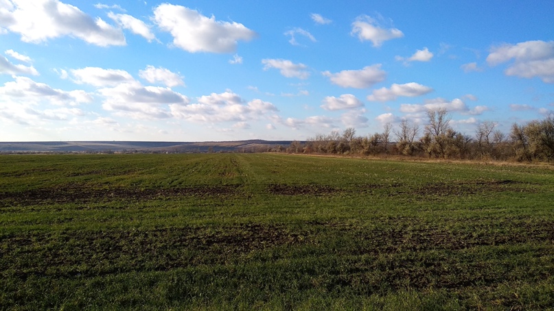 Дмитрий Баринов | Луганск