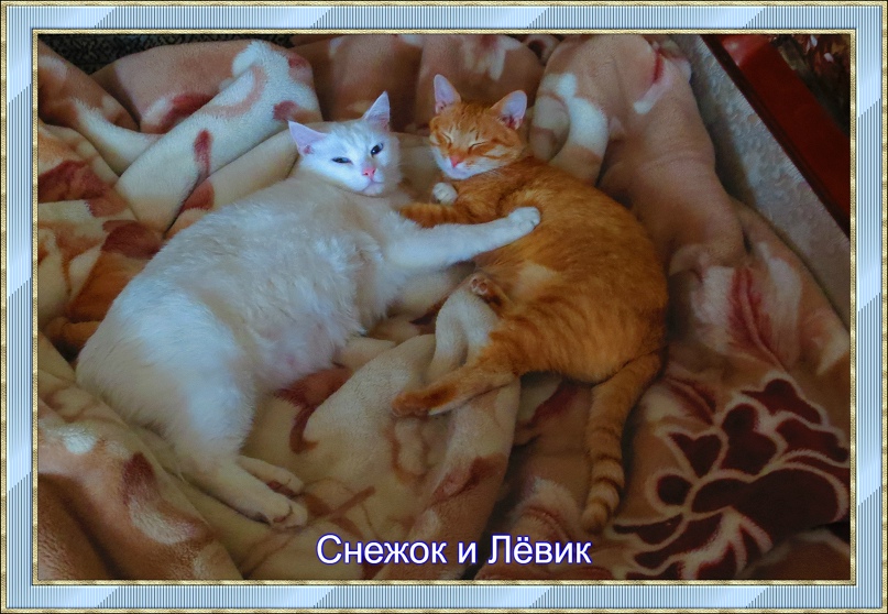 Юлия Богатикова | Елец