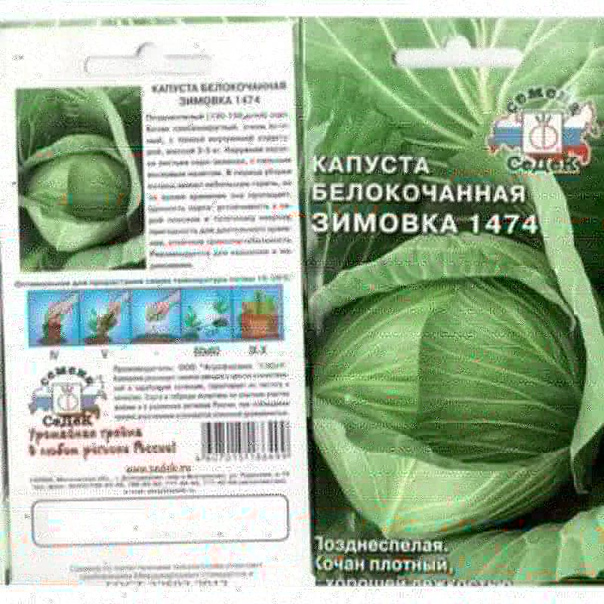 Капуста описание сорта фото отзывы. Семена Гавриш капуста белокочанная зимовка 1474 0,5 г. Сорт капусты зимовка 1474 характеристика. Капуста белокочанная зимовка. Семена капусты зимовка. Капуста описание сорта фото отзывы. Семена Гавриш капуста белокочанная зимовка 1474 0,5 г. Сорт капусты зимовка 1474 характеристика. Капуста белокочанная зимовка. Семена капусты зимовка.