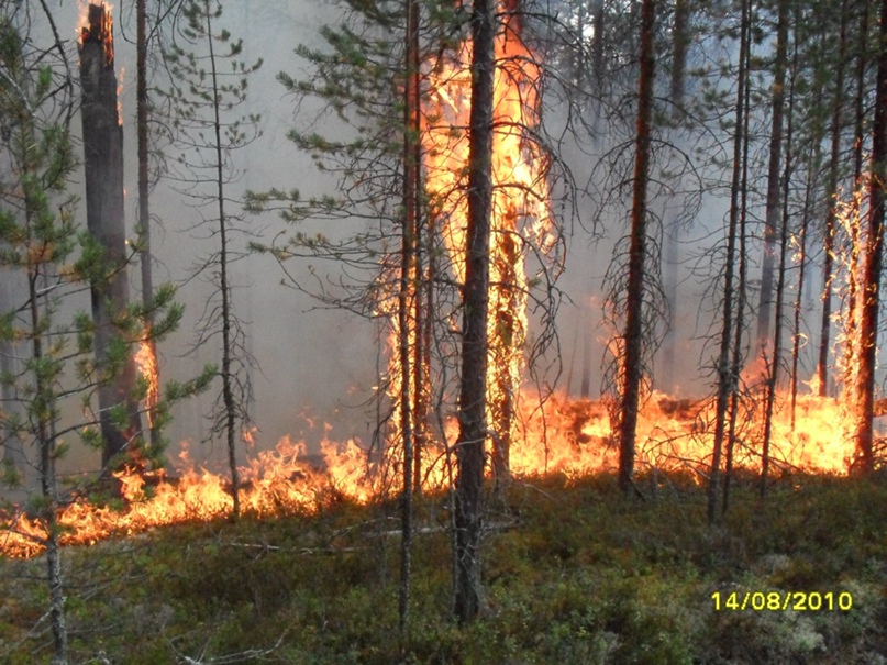 Павел Дворецкий | Санкт-Петербург