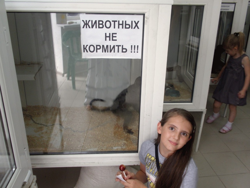 Елена Гребенникова | Новороссийск