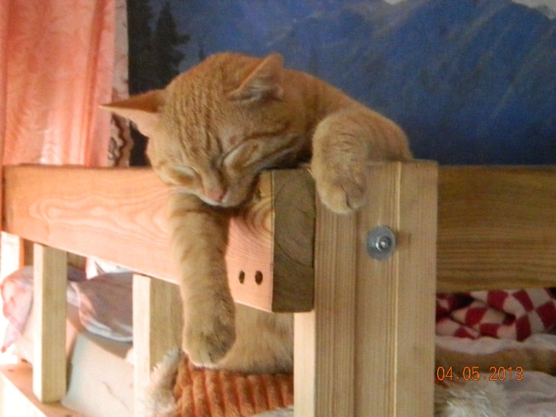 Елена Вострецова | Краснотурьинск