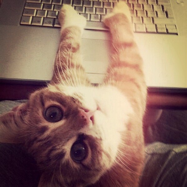 Анастасия Гараева | Тюмень