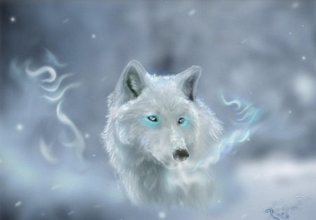 Виталик Попов | Мариуполь