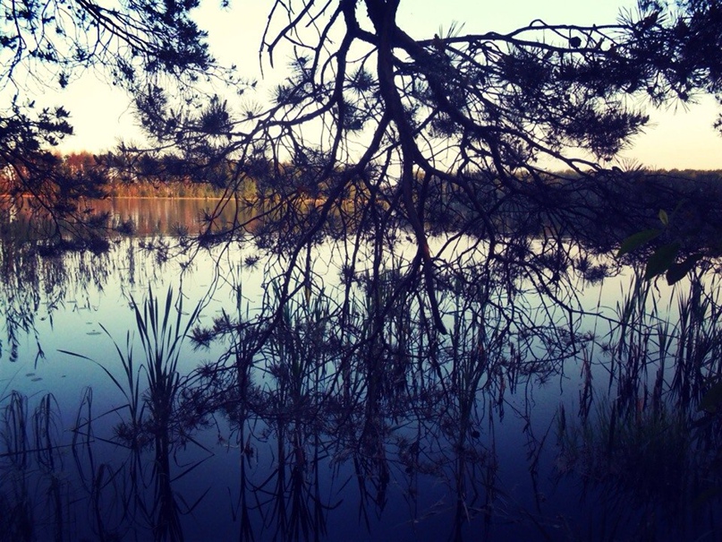 Дмитрий Малых | Москва