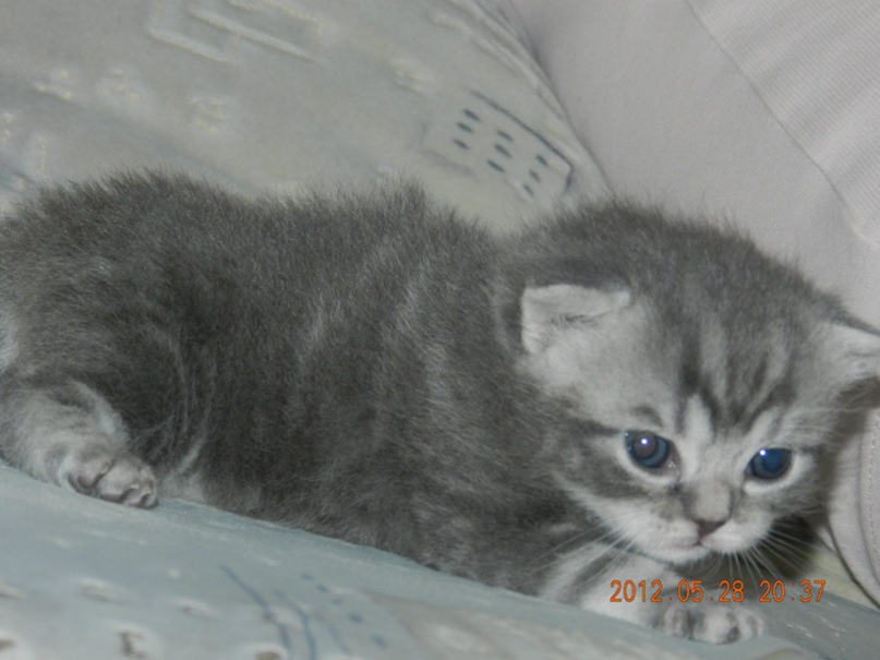 Наталья Титова | Екатеринбург