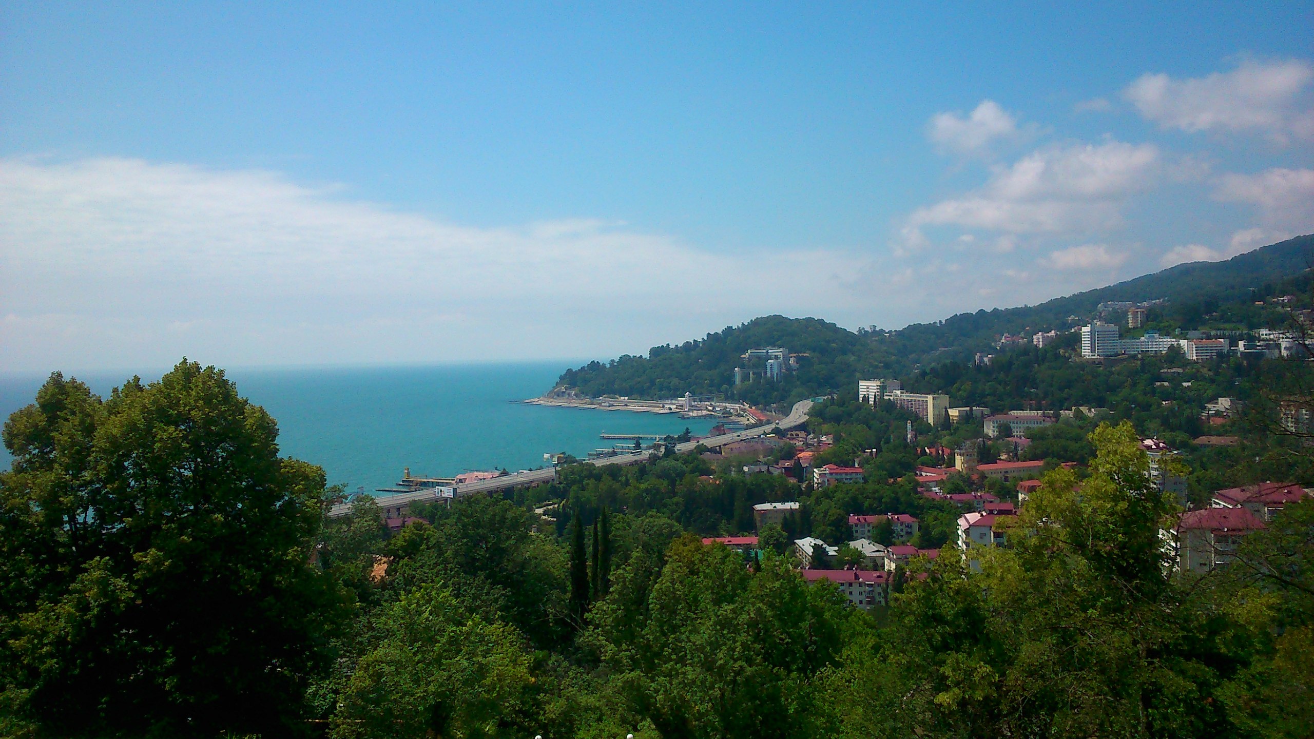 хоста черное море