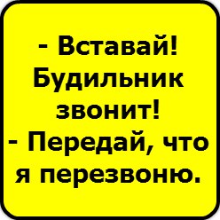 Данил Макаров | Йошкар-Ола