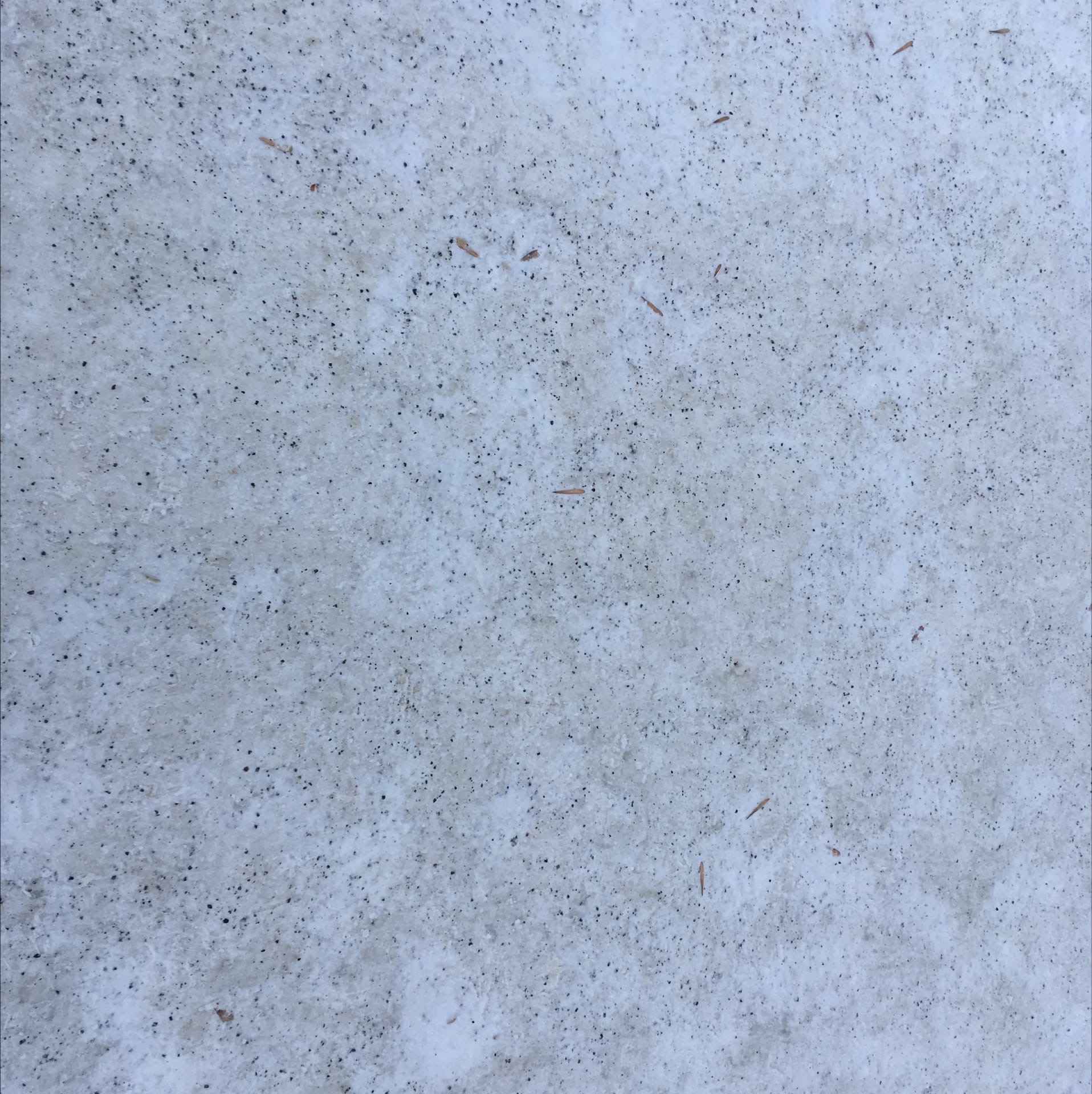 Фото «Бионорд» в крови, по бокам гололёд: почему новосибирцы падают, но встают и терпят 2 - Сиб.ФМ Фото «Бионорд» в крови, по бокам гололёд: почему новосибирцы падают, но встают и терпят 2