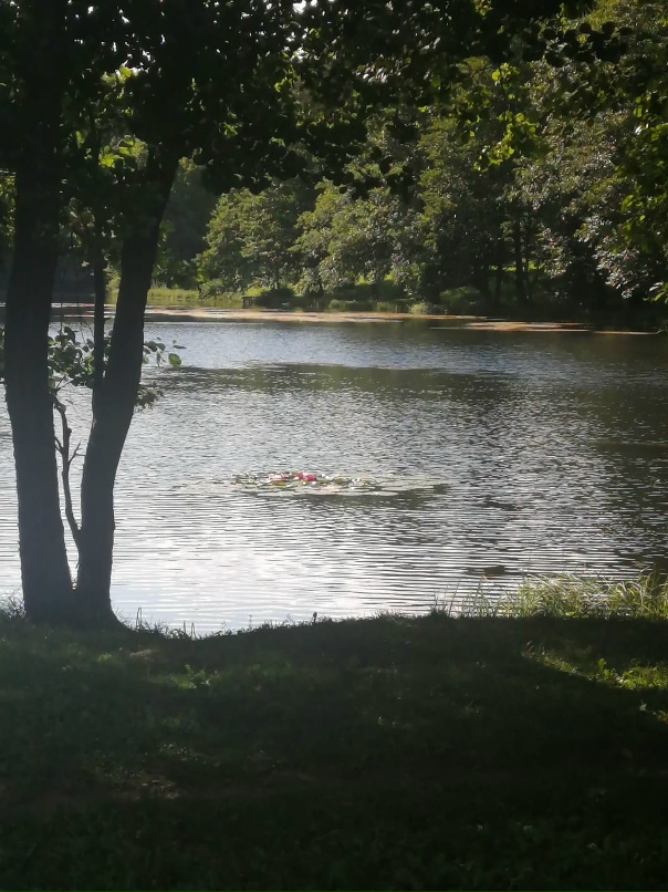 Виктория Романовская | Сморгонь