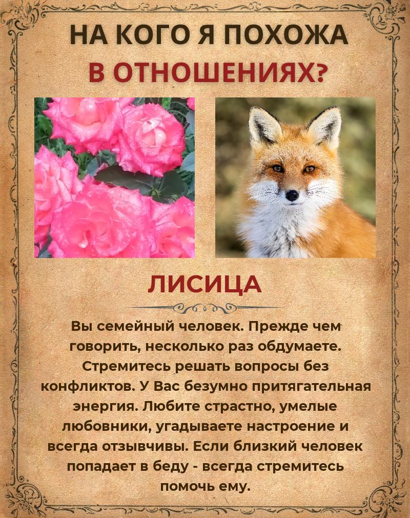 Валентина Мельник | Кострома