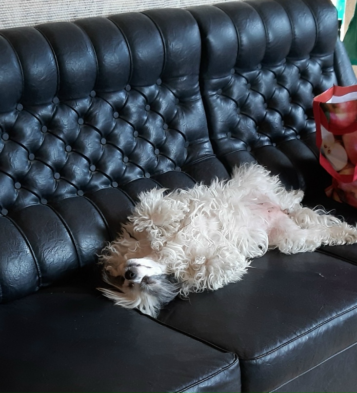 Светлана Ерохина | Санкт-Петербург