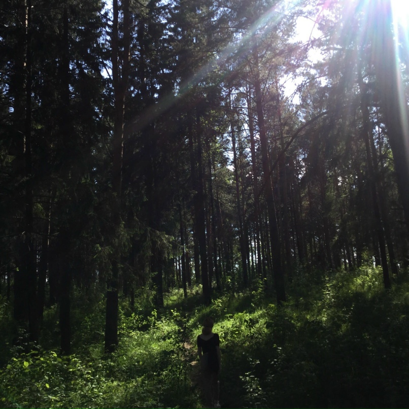 Аня Широкова |