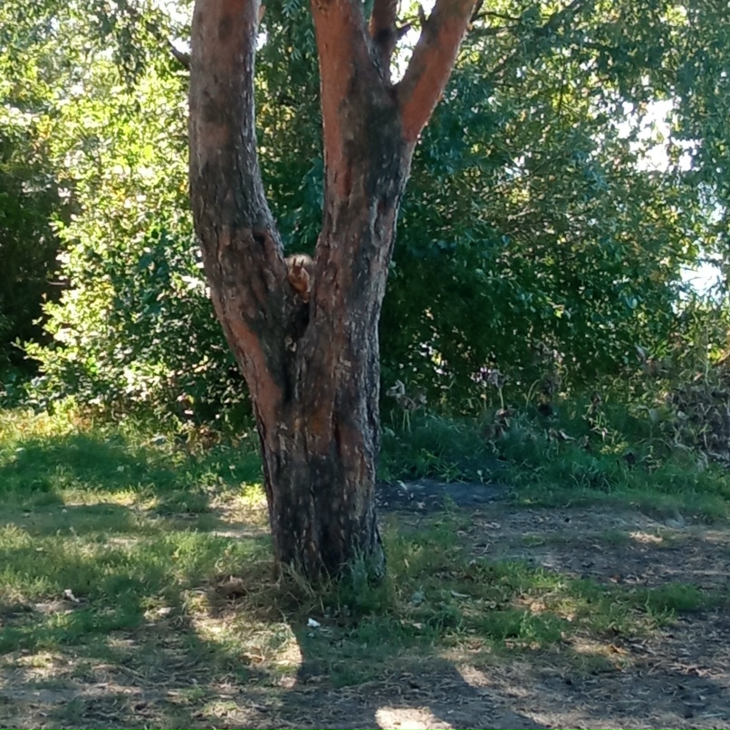 Оля Губанова | Липецк