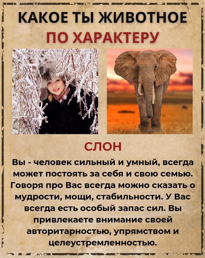 Светлана Плеханова | Дзержинск