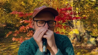Irish polka played on the world's lowest tuned diatonic harmonica