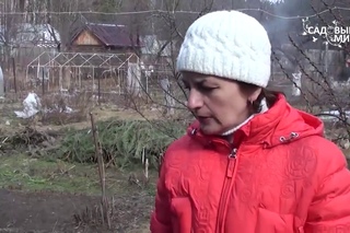 Обрезка  жимолости весной.Уход за жимолостью. Сайт “Садовый мир“
