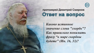 Каково значение слова “скорбь“? Как правильно понимать фразу “в мире скорбны будете“ (Ин. 16, 33)?