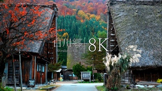 【日本三大秘境】白川郷の紅葉を訪ねて - Japan in 8K