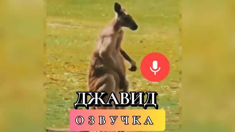 Джавид: Озвучка