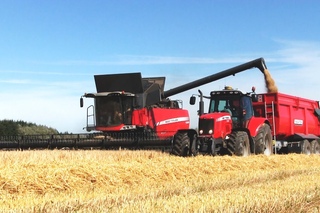 Barley Harvest | Massey Ferguson 9380 Delta Combine | MF 7499 Dyna-VT