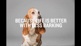 Garmin BarkLimiter™ 2: Keeping the Peace with Your Pet