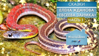 #СмотриДома | Елена Жданова «Евсеева заимка» - Часть 1 | Сказки на ночь (2020)