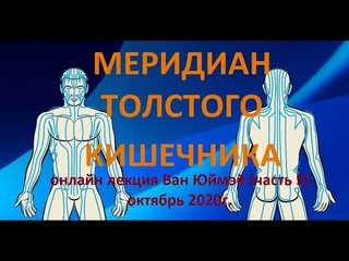 5. Меридиан толстого кишечника.