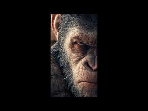 Sak Chaime So Easy ( Extended