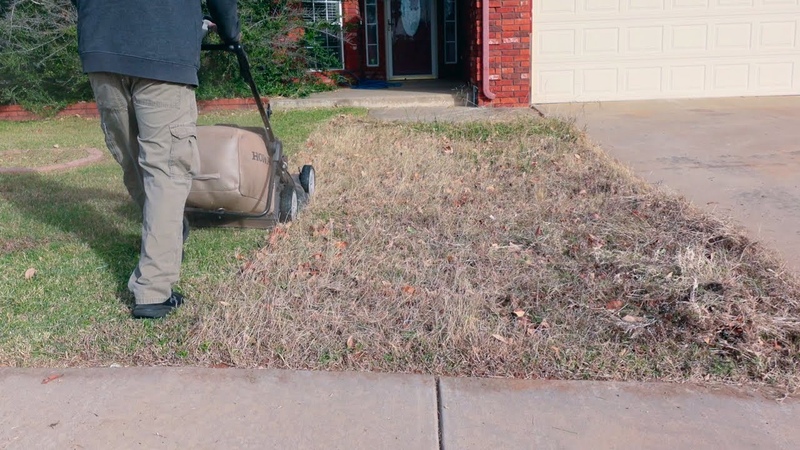 From brown to green, Satisfying Mow,