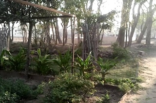 Vrindavan image 2013