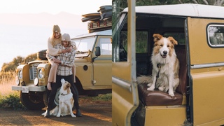 How We Travel Full-Time With Our Dog | Tips for National Parks, Camping and More
