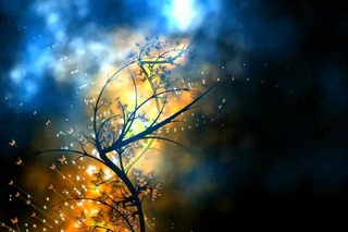 Metamorphosis by Glenn Marshall
