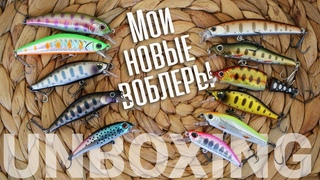 Unboxing. Новые КРУТЫЕ воблеры в моей коробке. УЛ-воблеры на форель и голавля