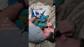 Bedtime with dad