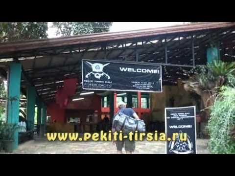 PTK