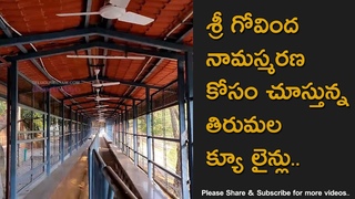 Tirumala Tirupati Devasthanams Sri Venkateswara Swamy Temple Empty Queue Lines