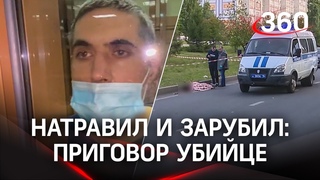 Натравил питбуля и зарубил топором на глазах у прохожих. Приговор ревнивцу из Набережных Челнов