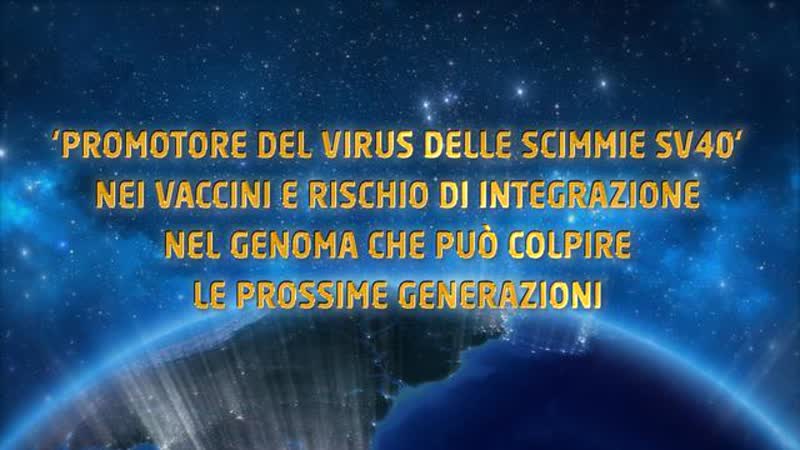 Promotore del virus delle scimmie sv40 nei vaccini e rischio di integrazione nel