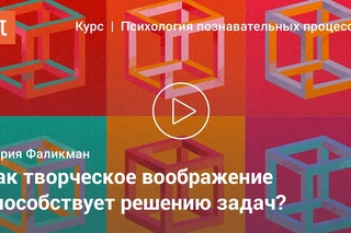 Виды воображения -- Мария Фаликман